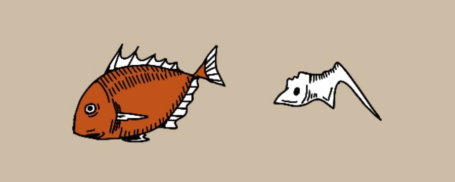 「魚を食べると頭が良くなる」 のサムネイル